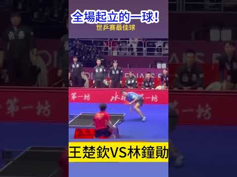 龙虎百家乐,资讯,百家乐攻略,龙虎百家乐,百家乐攻略,龙虎技巧,在线百家乐,百家乐投注技巧,赌场游戏,真人百家乐,龙虎游戏
