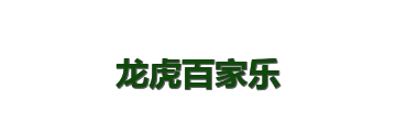 龙虎百家乐